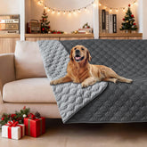 gogobunny furniture protector shields couches from paws and claws.