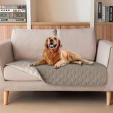 Manta impermeable gogobunny de doble capa protege muebles y suelos.