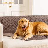 Manta gogobunny impermeable doble cara para perros protege muebles y evita manchas.