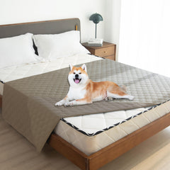 gogobunny scratch-proof furniture protector corner shot shows durable pet protection