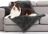 gogobunny waterproof dog blanket grey on sofa shows furniture protection and dry comfort.