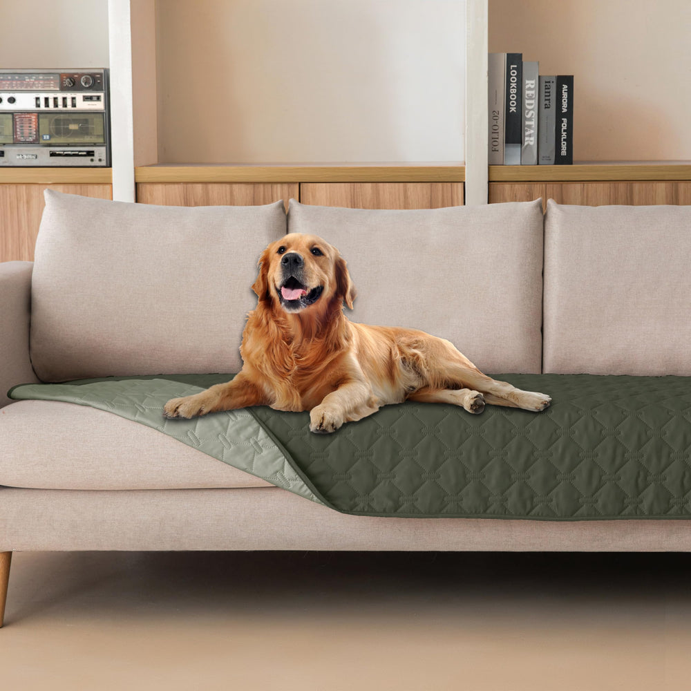 Gogobunny waterproof plaid dog blanket on sofa protects furniture from spills.