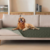 Gogobunny waterproof plaid dog blanket on sofa protects furniture from spills.