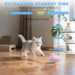 GOGODOGYA interactive cat ball LED lights enhance nighttime chasing and visual appeal.