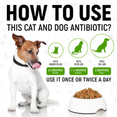 Golden Paw antibiotics ingredients highlight digestive support ingredients.