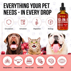 Golden Paw label close-up highlighting 10-in-1 ingredients for overall support