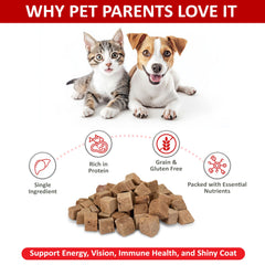 Golden Pup Enrichment beef liver treats closeup highlighting pure single-ingredient formula