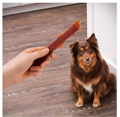 Golden Rewards packaging close-up showing premium duck jerky.