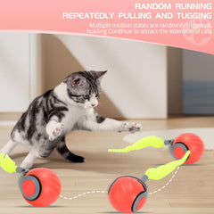 GoldSuccess Speedy Tail self-rolling toy encourages autonomous feline activity for exercise.