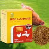 GoldWORMS 10lb BSFL bag shows convenient poultry feed for healthier eggs and feathers.