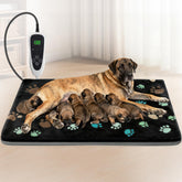 GOLOPET heating pad 47x30 on floor provides spacious warmth for large dogs