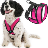 Gooby Comfort X harness Flamingo Pink back D-ring for secure daily walks.
