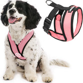 Gooby Comfort X Harness Pink front view highlights breathable design for daily walks