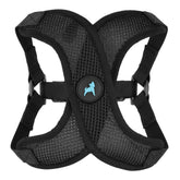 Gooby Comfort X Step-In Lite Harness shows choke-free design for safe daily walks.