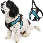 Gooby turquoise x-small easy fit harness closeup showing secure fit