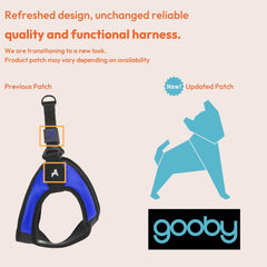 Gooby turquoise x-small easy fit harness no-pull feature in action