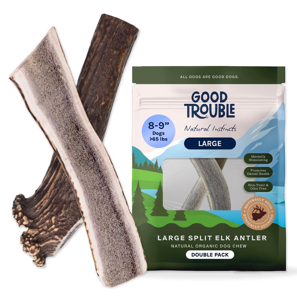 Good Trouble elk antelers for large dogs split pack offer a long-lasting chew.
