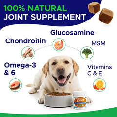 GOODGROWLIES glucosamine dog chews in mouth demonstrates tasty no-pill joint care