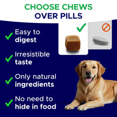 GOODGROWLIES melatonin dog treats jar open shows a chewable option over pills for easy dosing.