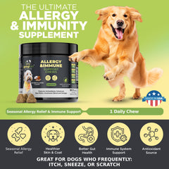 Googipet Allergy Chews packaging closed, ready for convenient allergy relief