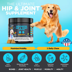 Googipet Premium label on jar notes vet-approved FruiteX-B for joint support.