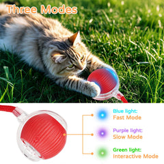 Goosheep 2-pack cat balls in action rolling to spark feline curiosity.
