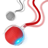 Goosheep 2-pack cat ball front view shows durable silicone design for indoor play.