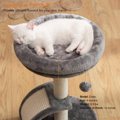 Goozii scratch ramp helps exercise and save floor space in small rooms.