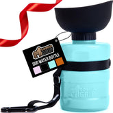 GORILLA GRIP turquoise 16oz bottle—portable hydration on walks.
