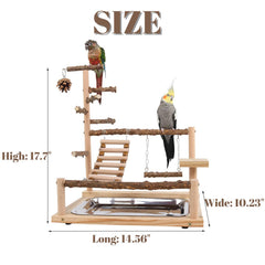 GOVNPJ Bird Playground desk setup highlights compact indoor placement for small birds.