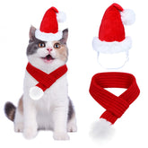 Goyoswa cat Christmas outfit hat close-up highlighting cozy 3D design for photos.