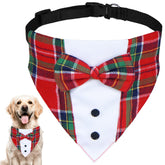 GOYOSWA Christmas dog tuxedo bow tie front view for festive holiday photos.