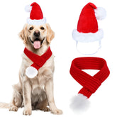 GOYOSWA dog Christmas Santa hat for festive photos