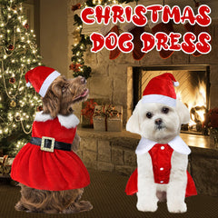GOYOSWA dog Santa hat adds festive charm.