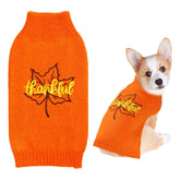 GOYOSWA dog Thanksgiving sweater front view with maple leaf design for festive photo moments.