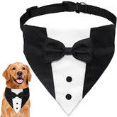 GOYOSWA dog tuxedo with bow tie on collar, perfect for wedding photos.