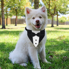 GOYOSWA premium polyester dog tuxedo offers soft comfort and easy cleaning.