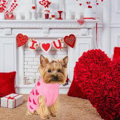 GOYOSWA sudadera para perro, ideal para San Valentín y regalo