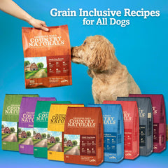 Grandma Mae's Country Naturals dry dog food kibble close-up showing wholesome ingredients for picky eaters