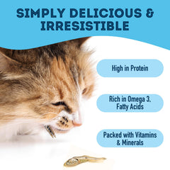 Cat-friendly sardines presented as a simple, single-ingredient snack for feline diets.