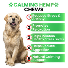 Grateful Pawz dog treats anxiety relief during stressful car rides.