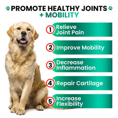 Grateful Pawz dog treats glucosamine chondroitin closeup emphasizes tasty, vet-backed joint care.