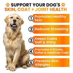 Grateful Pawz fish oil dog chews closeup emphasizes tasty chicken flavor for picky eaters.
