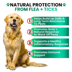 Grateful Pawz bottle emphasizes natural ingredients for dogs.