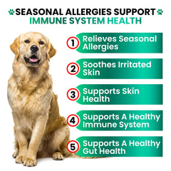 Grateful Pawz probiotics for dogs chews image emphasizing gut health support.