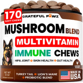 Grateful Pawz Turkey Tail dog chews closeup highlighting immune-supporting daily treat
