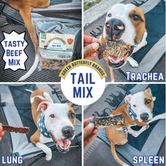 Green Butterfly Brands Tail Mix training treats for recall and obedience sessions.
