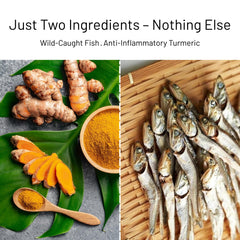 green paws wild-caught Alaska herring image emphasizes high-protein, natural treat for dogs and cats.