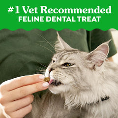 Greenies feline catnip flavor close-up illustrating irresistible taste