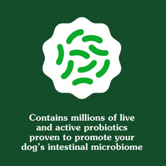 Greenies No artificial flavors image signals clean ingredients for canine wellness.